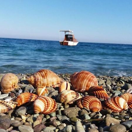 Κατοικία Πανόραμα, Πραγματευτή Λεωνιδίου, Τ.Κ.22300 Leonídio Kültér fotó