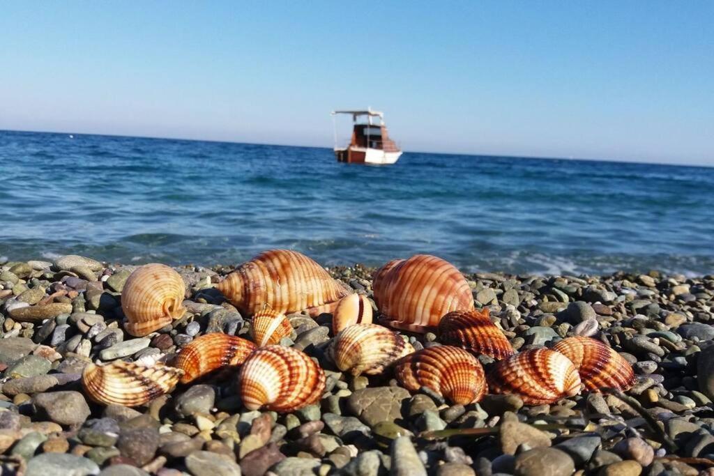 Κατοικία Πανόραμα, Πραγματευτή Λεωνιδίου, Τ.Κ.22300 Leonídio Kültér fotó