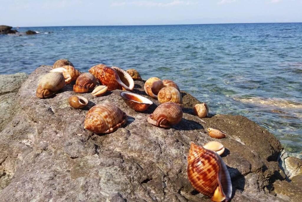 Κατοικία Πανόραμα, Πραγματευτή Λεωνιδίου, Τ.Κ.22300 Leonídio Kültér fotó