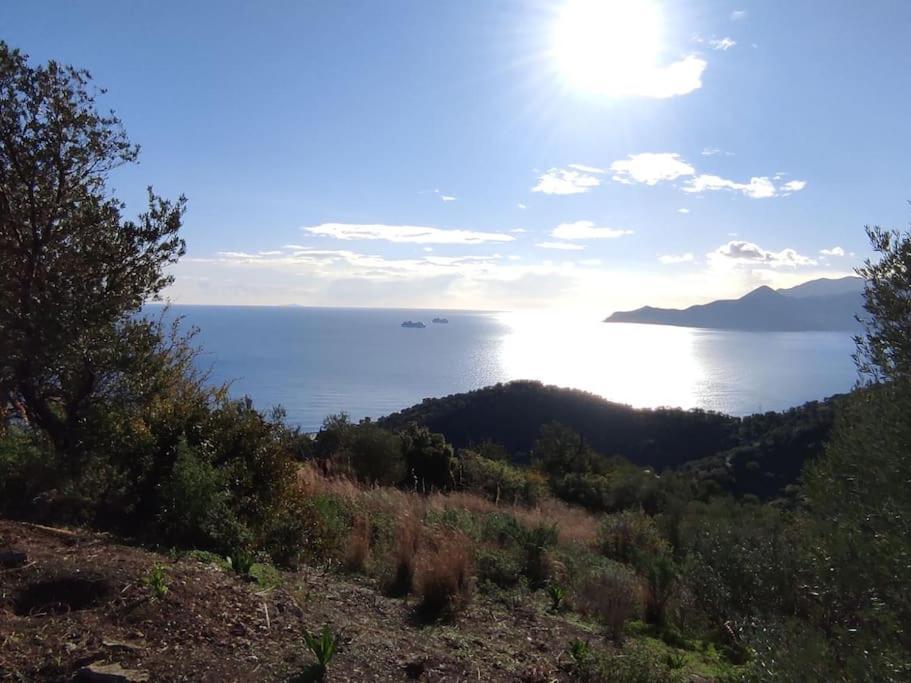 Κατοικία Πανόραμα, Πραγματευτή Λεωνιδίου, Τ.Κ.22300 Leonídio Kültér fotó